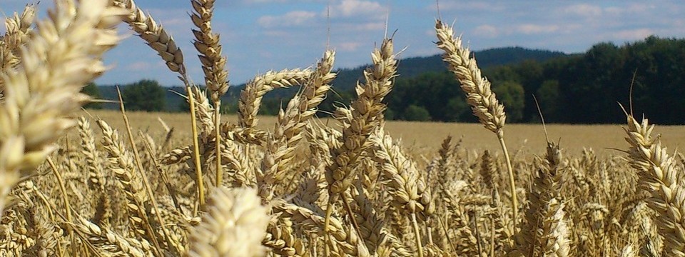 Ferme pédagogique BUFFARD (25)