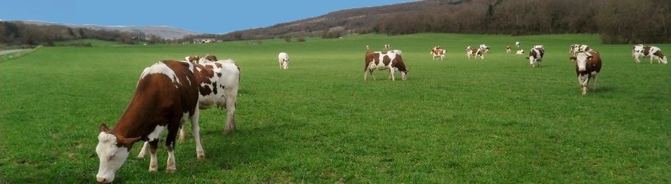 Ferme pédagogique BUFFARD (25)